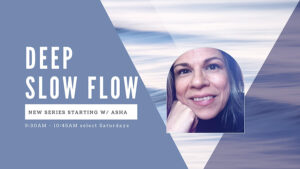 Deep Slow Flow with Asha